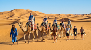Sunset Sandboarding, Camel Ride & BBQ Dinner in Agadir