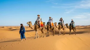 Sunset Sandboarding, Camel Ride & BBQ Dinner in Agadir