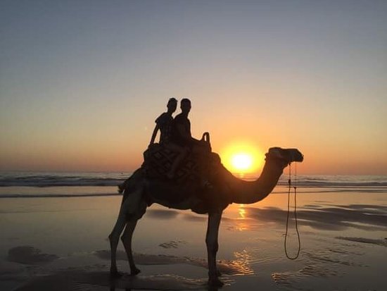camel ride in agadir