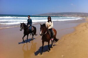 Horse riding in agadir