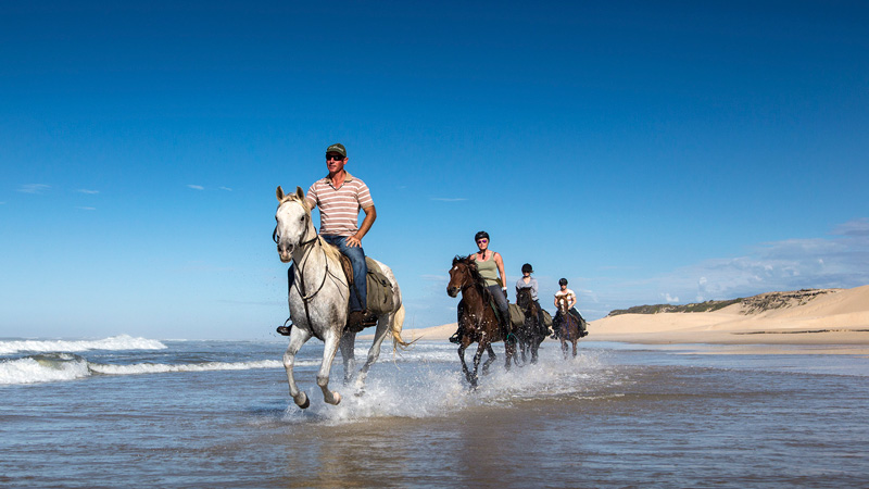 Agadir And Taghazout : Horseback Ride on the Beach with Hotel Transfer